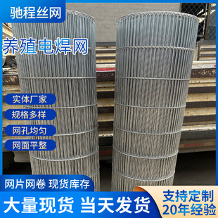Long hole breeding mesh bold galvanized wire mesh pigeon bird chicken rabbit dog cage mesh long hole large wire breeding welding mesh