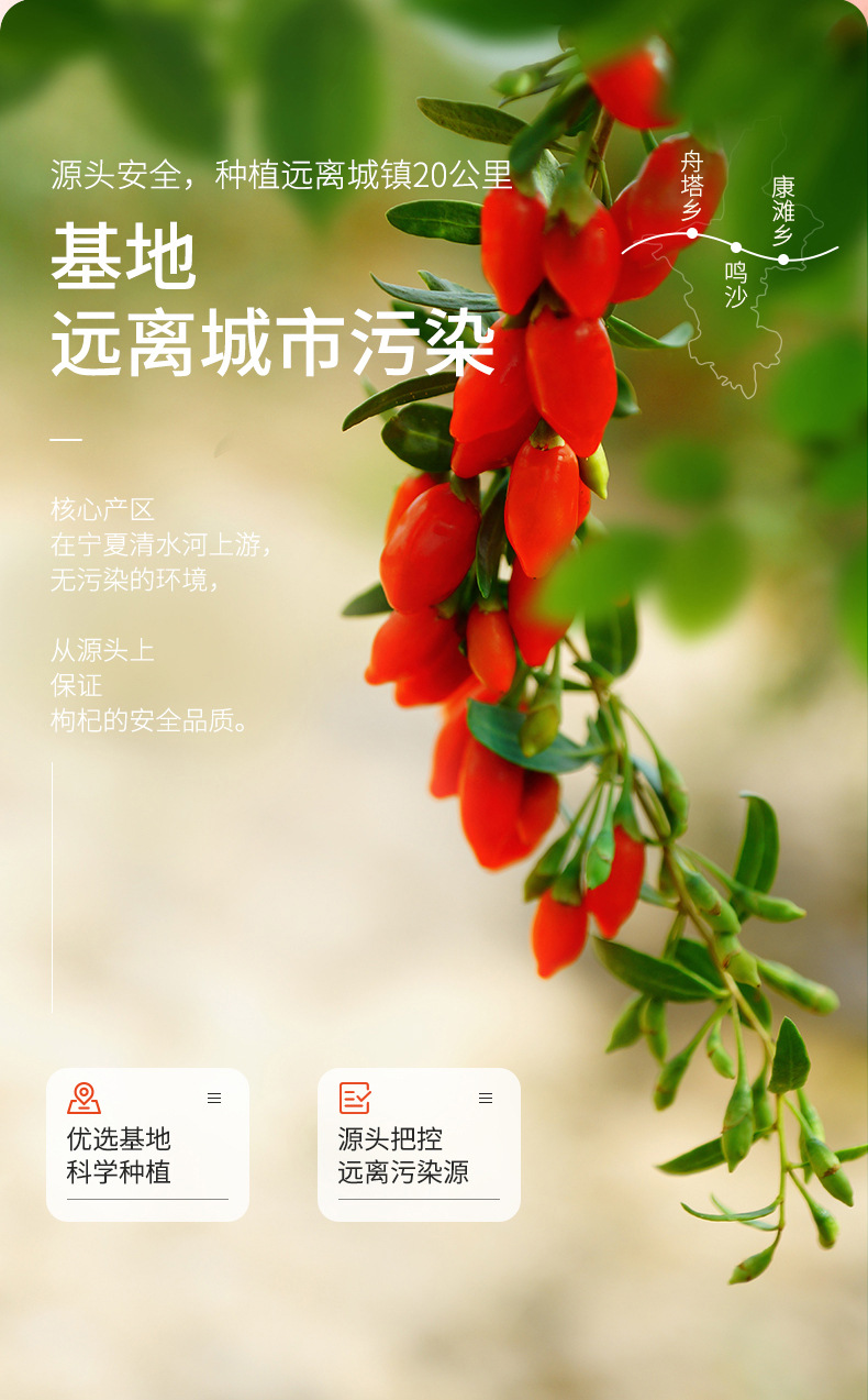 Premium Ningxia Goji Berries 250g Jar Dried Wolfberry Gou Qi Zi for Tea and Soup key features