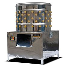 ����Óë�C�u݆�C�Z�AͲ�������B�Óһ�w���P�Ó�C�u���g��