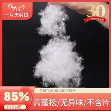 �����q�S��ֱ��ˮϴ85�����q�����ɘ�׼��q�����q��о�����