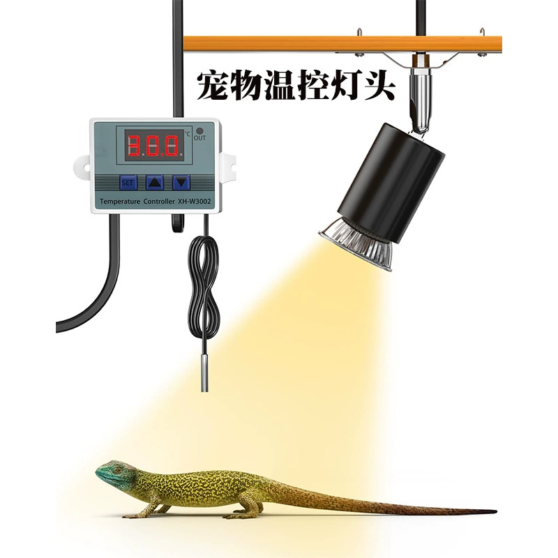 Кошка и собака домашнее животное клетка рептилии Коробка для кормления керамическая нагревная лампа термостатическая термостатическая термостатическая головка лампы