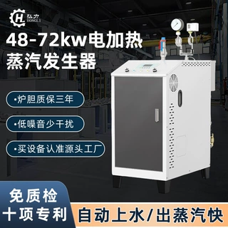 定制弘力48kw消毒电蒸汽发生器电加热蒸汽发生器小型蒸煮蒸汽锅炉