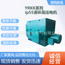 ���� ������YRKK5001-4��710KW 6KV��ѹ�����������첽�綯����