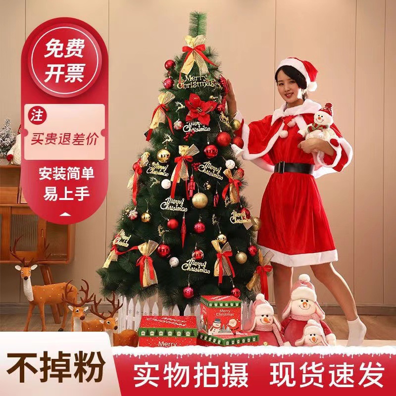 2026新款圣诞节装饰圣诞树家用套餐发光大型加密摆件高级感ins风