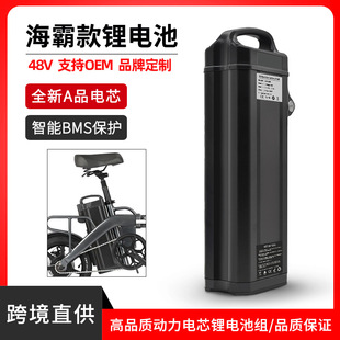 ���Q���Կ�18650/21700�о48V18Ah20Ah25Ah30Ah�늳ؽM늄�܇��