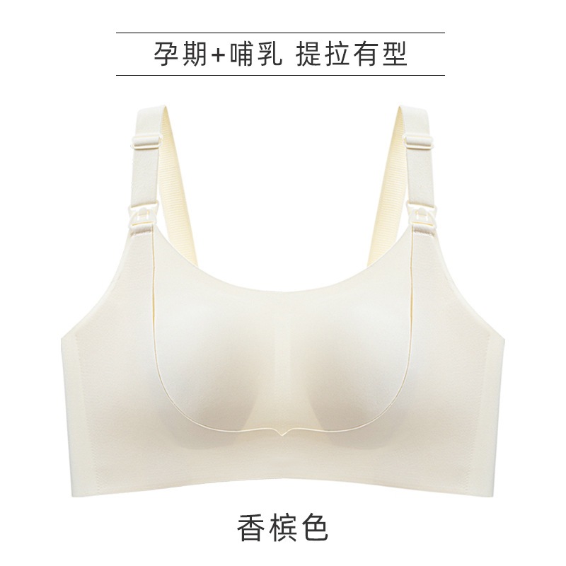 샴페인