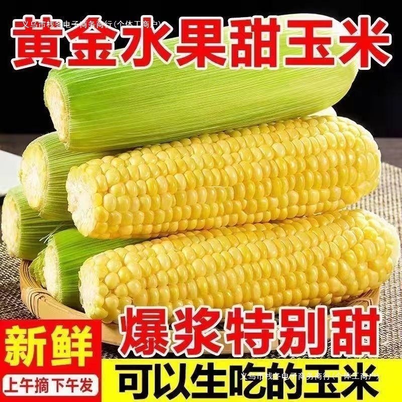 送料無料、即日発送、新鮮な果物のトウモロコシ、生のスイートコーンの穂、生のミルクバーストコーン、その他|undefined