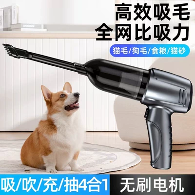 Vacuum Cleaner, Tozsoranlar