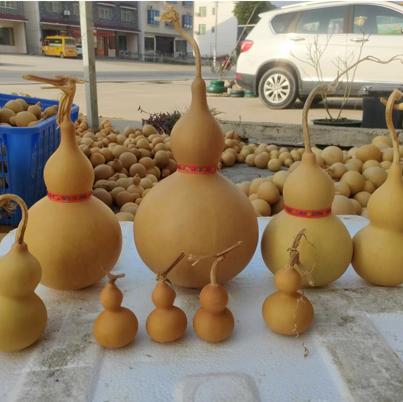 O1CN01qbl1lv1ZbbMcvv89F_!!2201303303213-0-cib.jpg?__r__=1671672891403