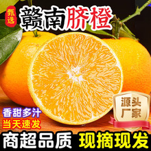 �����M���M��Ě�ȑ���ˮ������������r���ʮ���b�ǐ��¹�����38