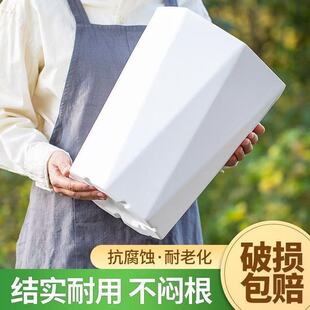 ��֬�������ϸ��FҬ�Ӵ�̖�Ӻ��п׻����B�G�}����������֬���]