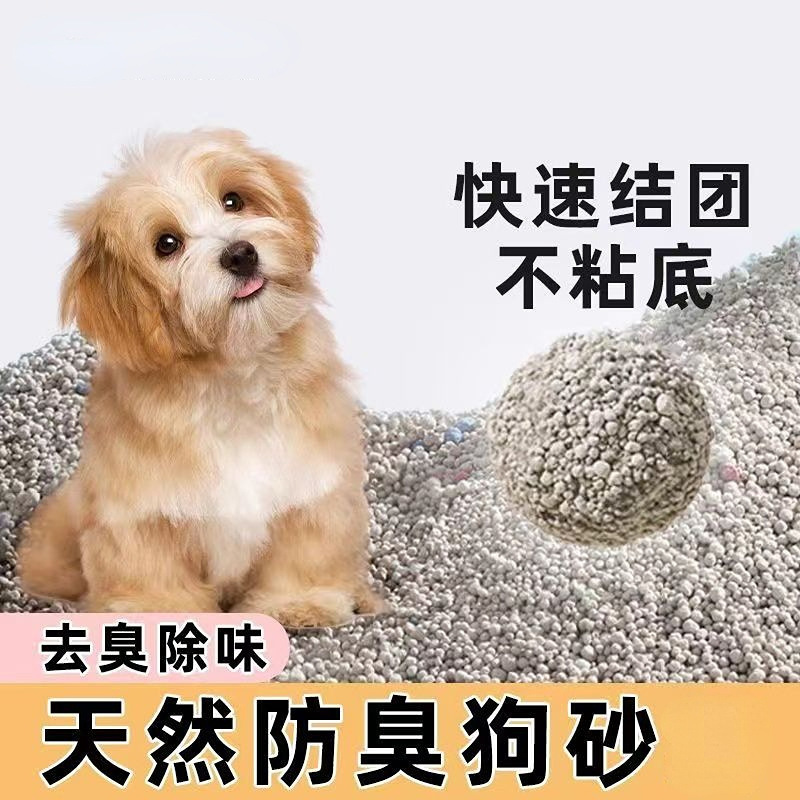 412b1837-d3a9-4d9f-a85b-bad9a434e86e.jpe