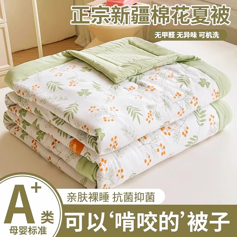 Xinjiang Cotton Summer Quilt Air-Conditioned Quilt Summer Machine Washable 2025 New Single Thin Quilt Summer Quilt Kidsren's Quilt Core