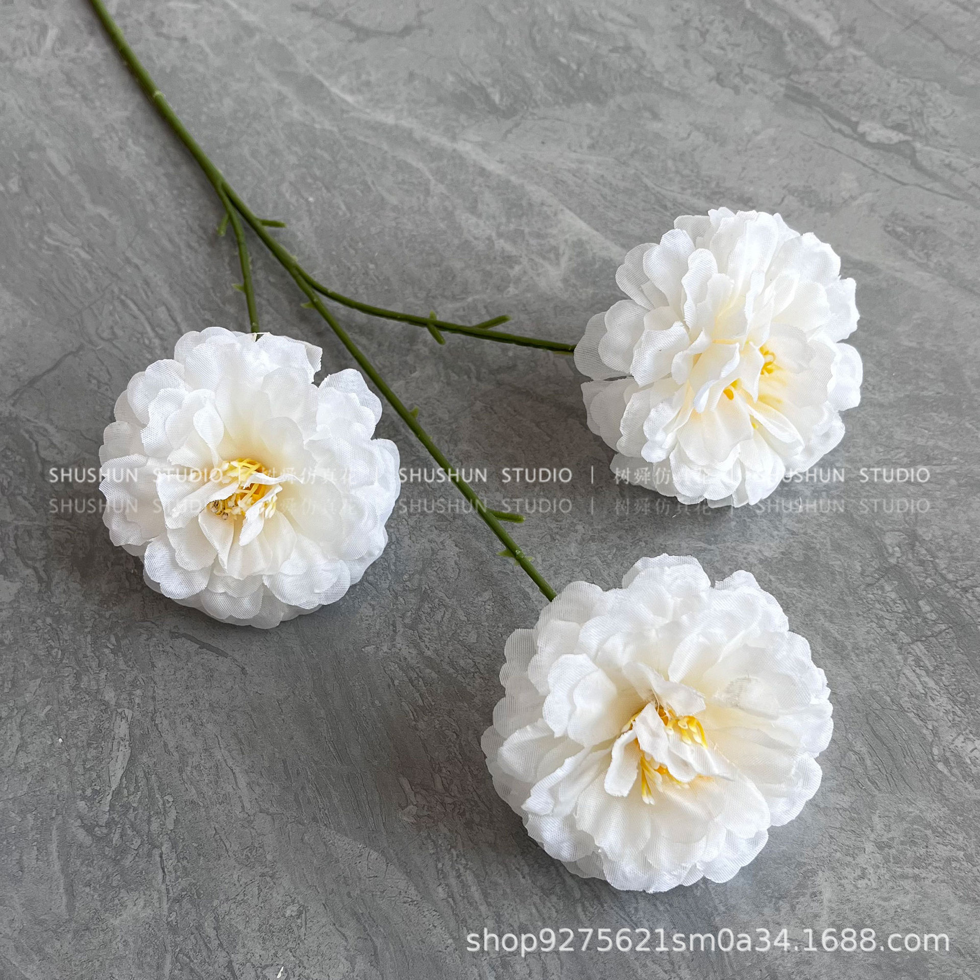 Hibiscus de tres cabezas-blanco