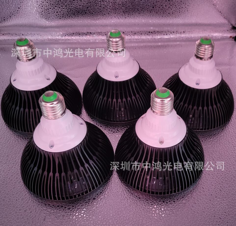 黑壳54W 红光光疗灯3