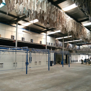 �����Ԅӻ�Ƥ�������O�� ��Ƥ�L�əCе  ����Ƥ�����O��