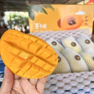 �����|���f�������������â�������râ���Fժ�F�l����8��Y���b