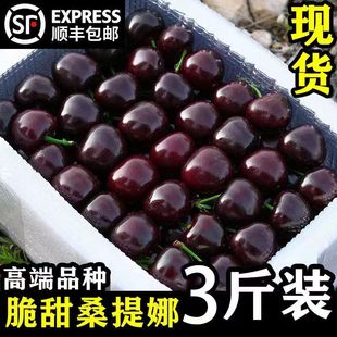 ܇�������rˮ���M���ش����jjjj�������l�Y����Sһ�����l���]�}