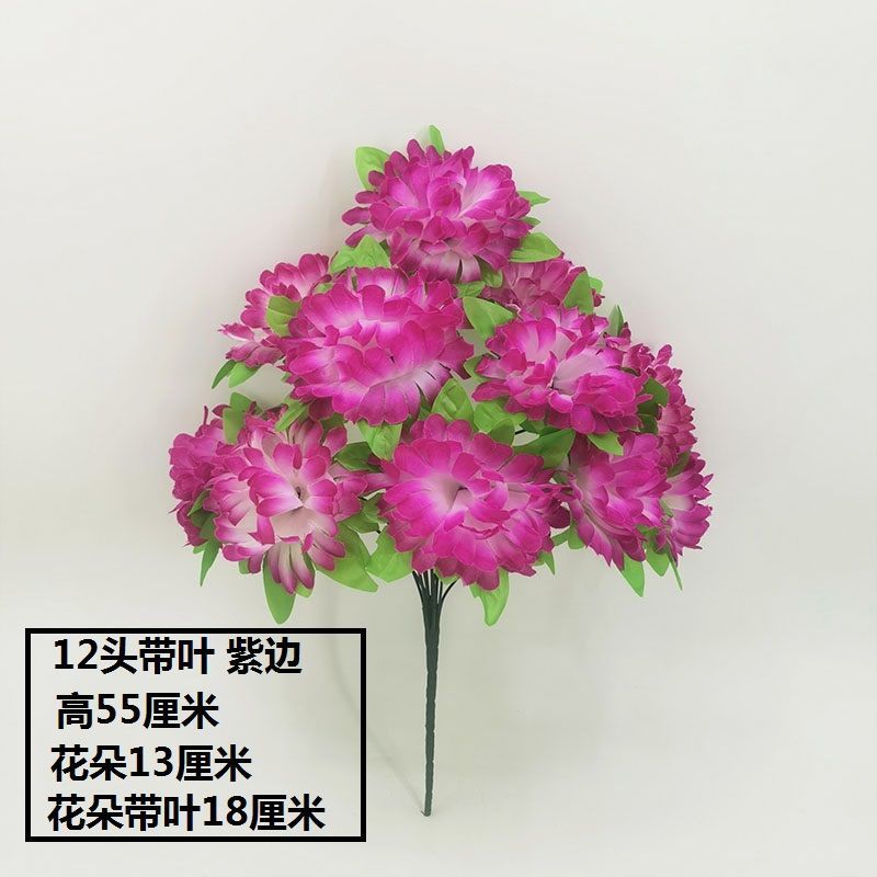 12 chrysanthemums with leaves (purple edge) 1 branch - 1 branch (not including flower pot) quality choice