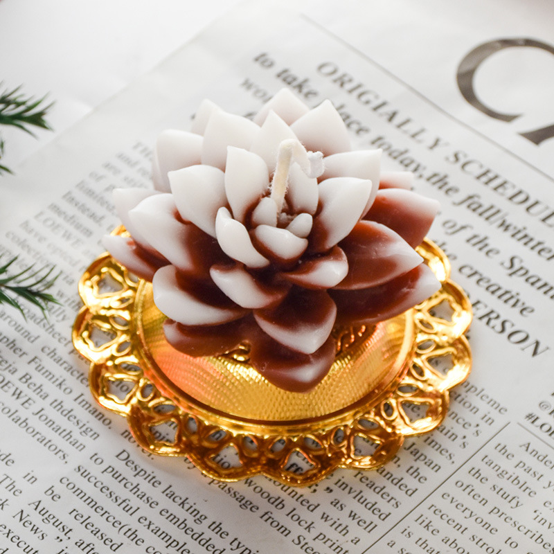 Plantas suculentas flores vela decoración del hogar en el viento regalos de boda regalo de navidad ideas de cumpleaños