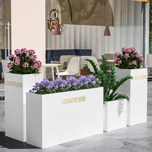 ���⻨����[�̘I�ֿ����^�Fˇ�����L���θ���ڻ����ۘǲ�����