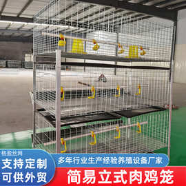 H型单层多层肉鸡蛋鸡笼立式组装三层四门四层四门绿食槽肉鸡笼子