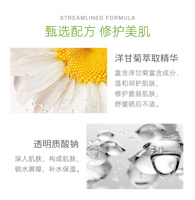 洋甘菊菁纯露_05