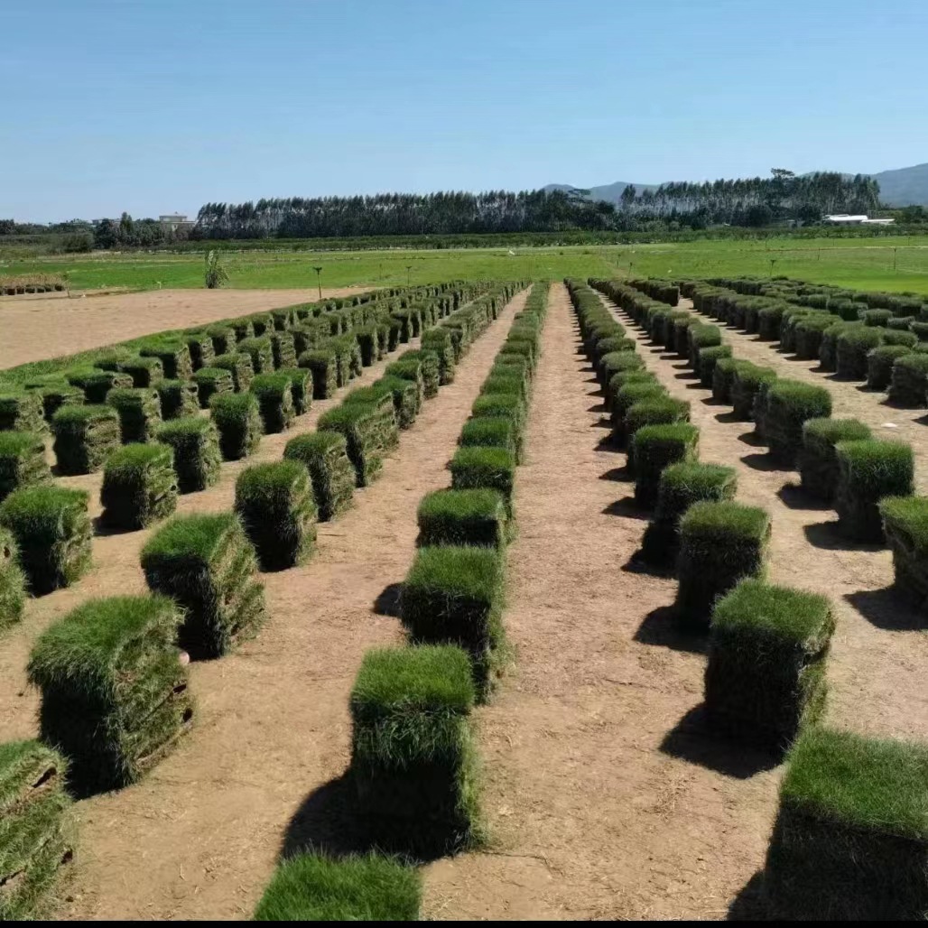 9d7400fe5acd874199178a2f753a23