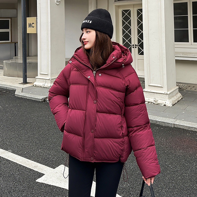 Europa alojamiento de algodón encapuchado grueso ropa de pan de invierno de mujeres nuevos estudiantes ropa de algodón cálida casual abrigo de algodón image 9