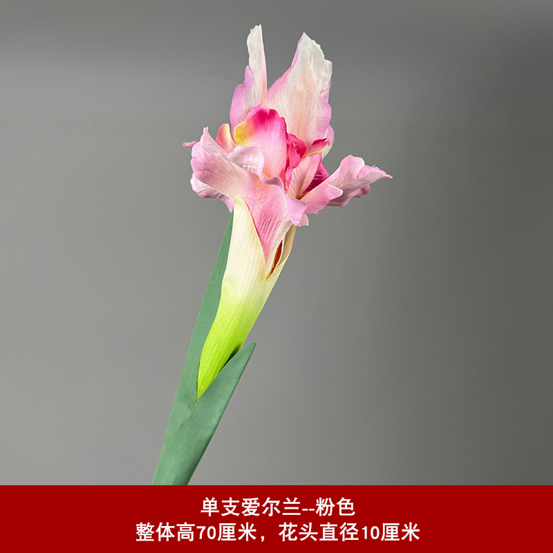 분홍색