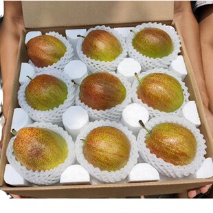 ����� ������棡�젖�������������޽ӵĻ�Ѫ��5��������]