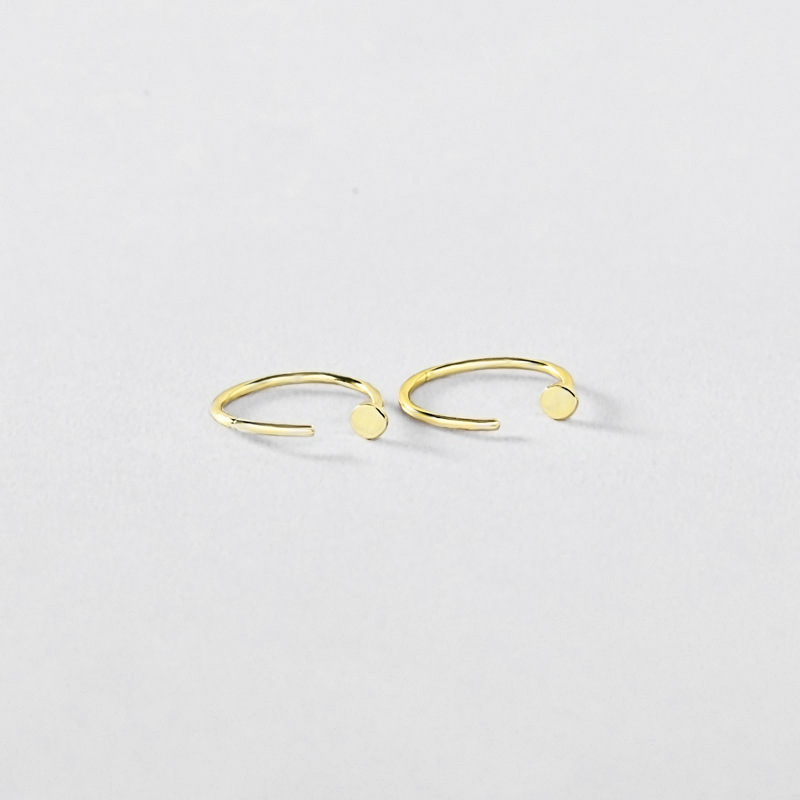 brand earrings