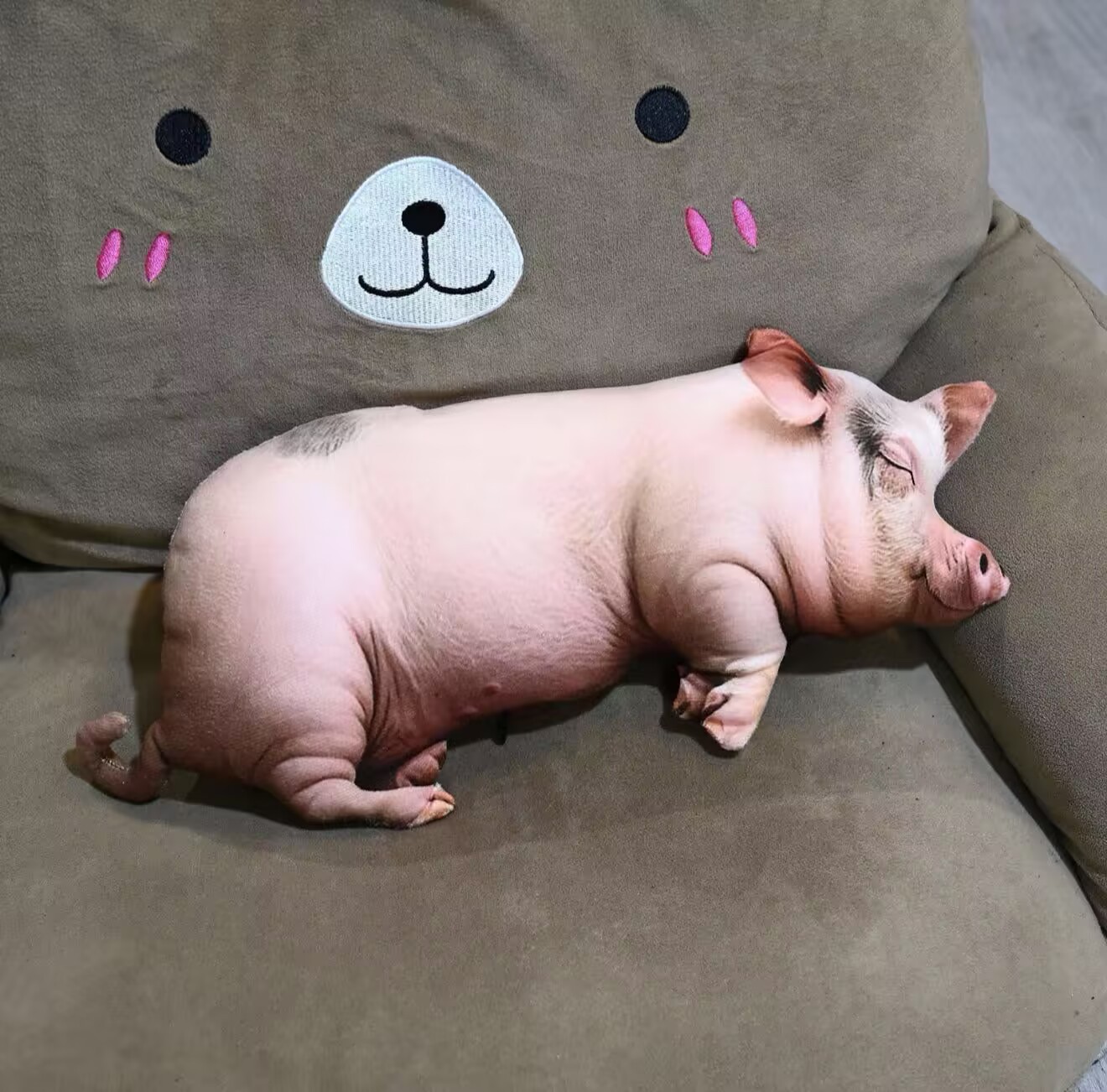 Internet Celebrity Cartoon Doll Realistic Sow Pendant Pillow Plush Toy Pig Doll Animal Piglet Stuffed Toy Doll