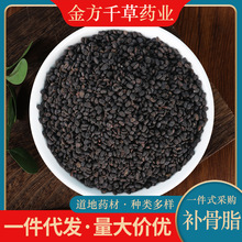 中药材批发野生补骨脂500g克正品破故纸婆黑故子盐补骨脂炒补骨脂