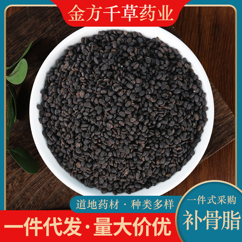 中药材批发野生补骨脂500g克正品破故纸婆黑故子盐补骨脂炒补骨脂