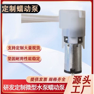 N20微型蠕动泵 可定制计量泵 高压水光枪美容仪 加药泵 迷你水泵