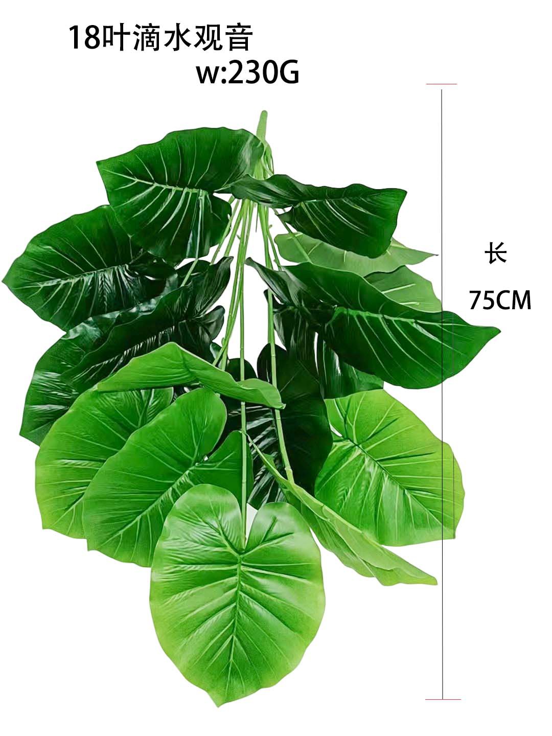 微信图片_20220506221041(1)