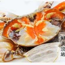 宁波螃蟹 宁波螃蟹品牌 图片 价格 宁波螃蟹批发 阿里巴巴