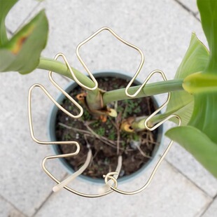 &otimes;������֧�ΗU�����B�������̶�������ˮ��ֲ��֦���վ۔n����֧