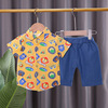 Summer children's flower boy costume for early age, set, shirt, sleeves, 2021 collection, wholesale