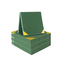 体操垫跆拳道垫子舞蹈垫帆布空翻垫跳高海绵仰卧起坐运动垫训练垫