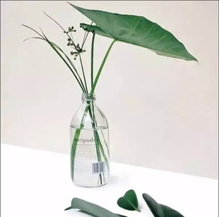 500mlС����Ϲ�֭��ƿ �W�t�̲趹�{����ƿ300ml���I�X�w����ƿ