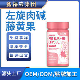 左旋肉碱藤黄果源头工厂一站式OEM贴牌代加工