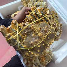 ���_˹��������з�r��͜��ك�������ʽ�������r���l�Ƶ�͏d����