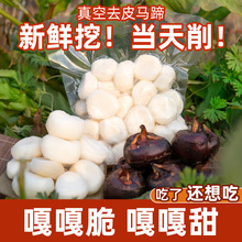 �V�������ك����R�����rݩ�j��Ƥ�R�����R��A����ȥƤ�R��a���l