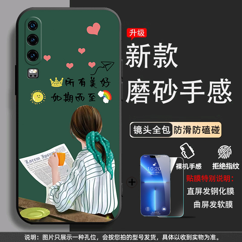 Beautiful as expected [shell + tempered film]