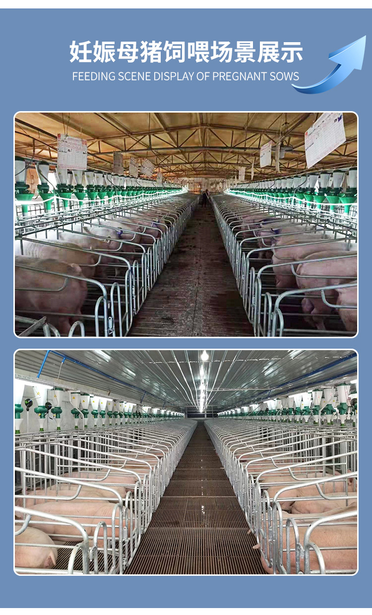智能母豬飼喂器詳情3_07.jpg