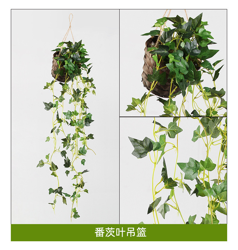 O1CN01fSojWO1zidKHQjOID_!!2159