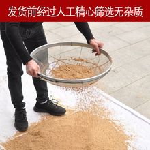 河沙细沙多肉种植种花沙子乌龟冬眠沙鱼缸沙建筑沙水族造景批发价