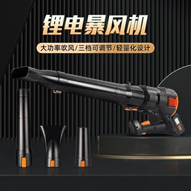 电动吹风机;便携式洗车器;洗车水枪